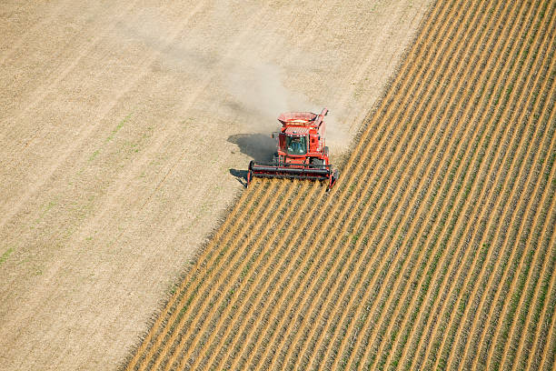 combinar a colheita de outono vermelho vista aérea de campo de soja - soy field - fotografias e filmes do acervo