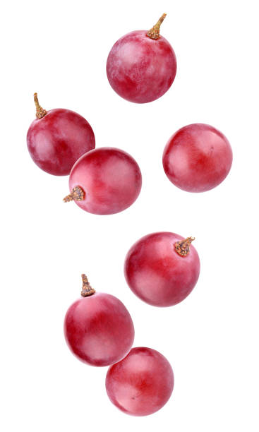 red falling grapes isolated on a white background with clipping path. falling grapes isolated on a white background with clipping path. whole berries in the air. grape stock pictures, royalty-free photos & images