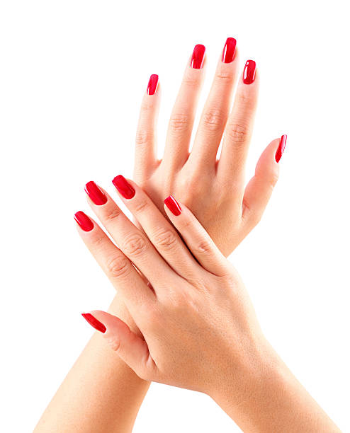 Red fingernails. Set of nicely manicured  female fingernails painted in red over white background.Adullt caucasian woman,her hands forming letter X.Shot from above. painting fingernails stock pictures, royalty-free photos & images