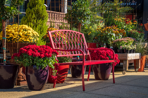 Red Garden Bench And Planters On Display At Local Garden Center