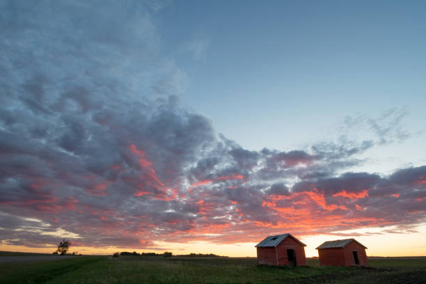 Red granaries at sunset, farmer's field near Grande Prairie, Northern Alberta stock photo