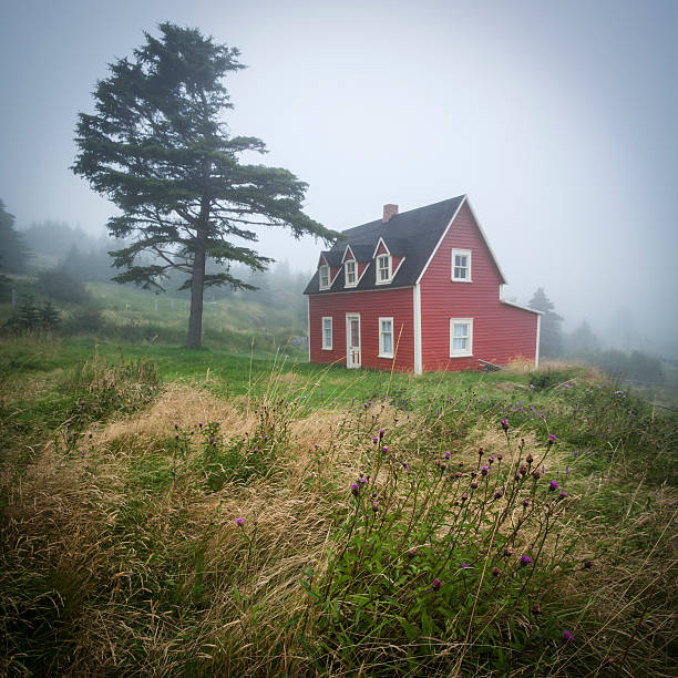Red House and Tree in Fog stock photo