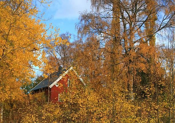 Red house in autumn stock photo