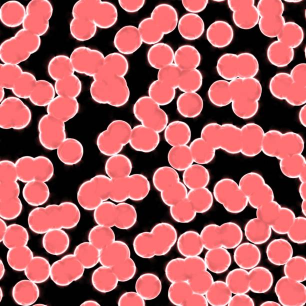 Red human or floral cells texture. stock photo