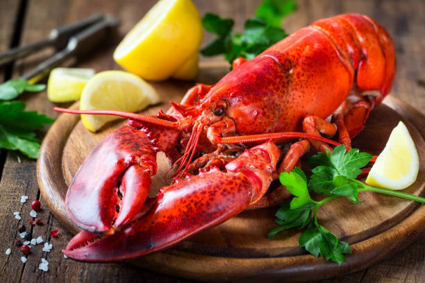 Red lobster on wooden cutting board Steamed red lobster on a wooden cutting board with parsley and lemon boiled stock pictures, royalty-free photos & images