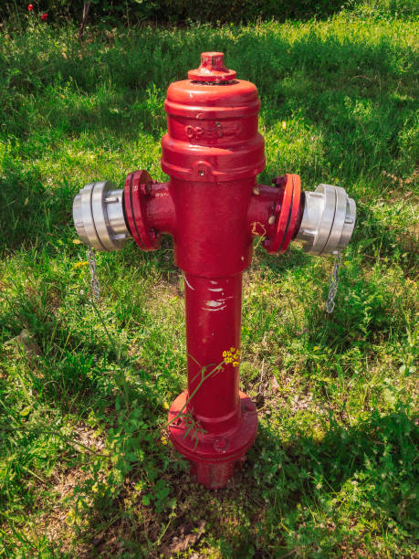 Red metal water fire hydrant against green vegetation. stock photo