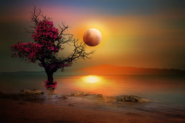 red moon with a beautiful tree stock photo