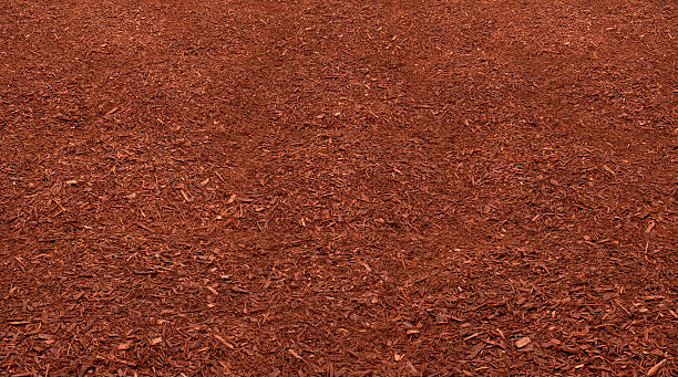 Red Mulch Bed Bed of Red Mulch. Full focus, front to back. mulch stock pictures, royalty-free photos & images