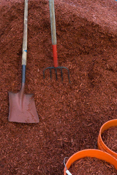 Red Mulch for Garden Red Mulch for Garden with fork, shovel, and buckets cedar mulch stock pictures, royalty-free photos & images