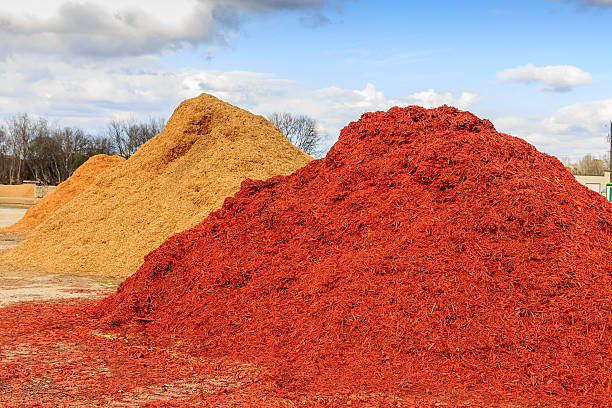 Red Mulch or Wood Chip Mound Mound of red mulch or wood chips use for landscaping top ground material and accents. mulch stock pictures, royalty-free photos & images