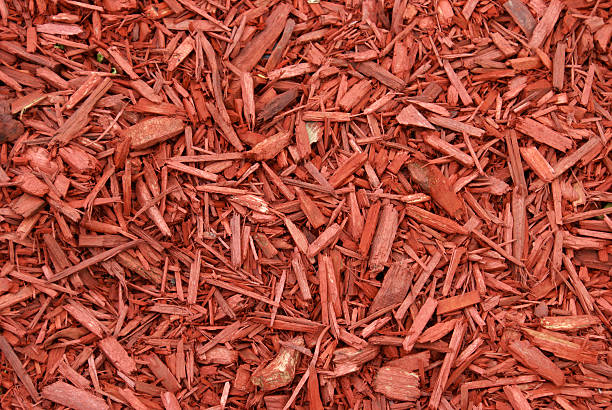 Red Mulch A closeup shot of red mulch used for garden decorating. mulch stock pictures, royalty-free photos & images