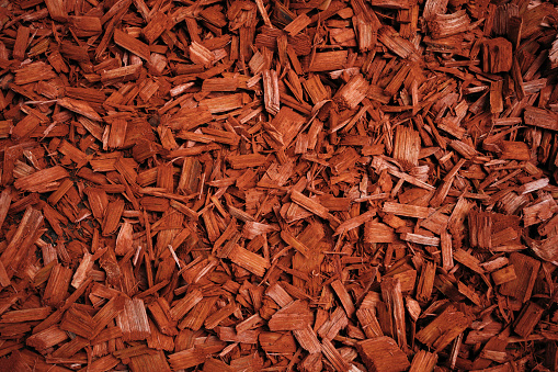 Red mulch used for garden decoration.