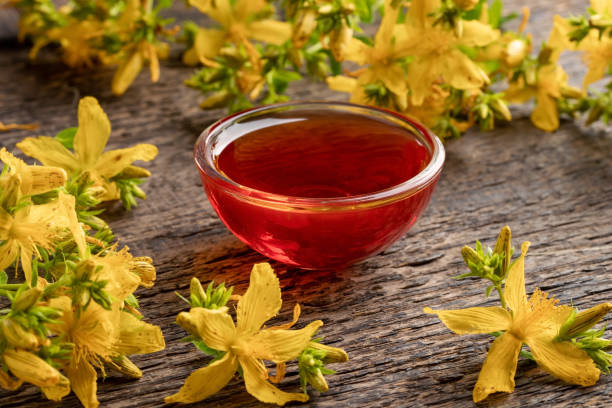 Red oil made from St. John's wort flowers stock photo
