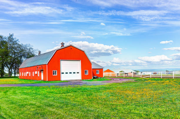 Red orange painted barn shed with white doors in summer landscape field in countryside Red orange painted barn shed with white doors in summer landscape field in countryside agricultural building stock pictures, royalty-free photos & images
