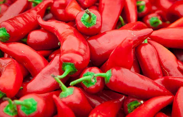 Red Pepper stock photo