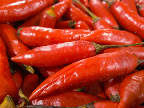 Red peppers in the market. stock photo