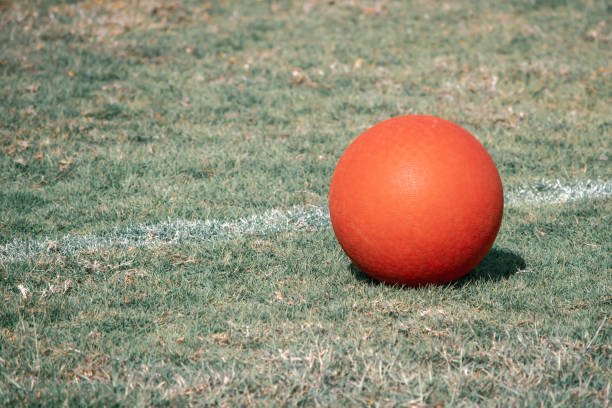 A red playground ball sits next to the white line on a green grass field. Aged or antique look. stock photo