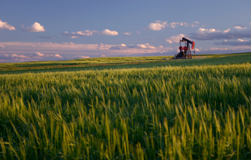 A pumpjack on the prairie. Ripening wheat in foreground. Singh-Ray warming polarizer to enhance vibrant colours. This image is of a red oil rig, or pumpjack, on the rolling fields in southern Alberta, Canada. The oil industry is a major economic driver in the western province. The oilsands are located in Northern Alberta and also are a source of a significant amount of bitumen, which is converted into oil and shipped via rail, pipeline, and ships throughout the world. 