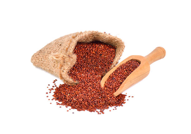 Red quinoa on white background stock photo