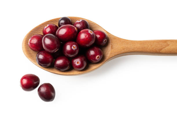 Red ripe cranberries in a wooden spoon isolated on a white background. Cropped image of spoon full of fresh organic wild berries macro. Antioxidant and vitamin healthy eating concepts. stock photo