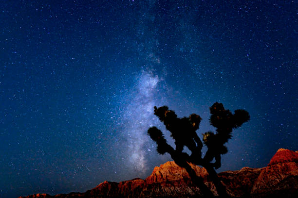 Red rock canyon milky way stock photo