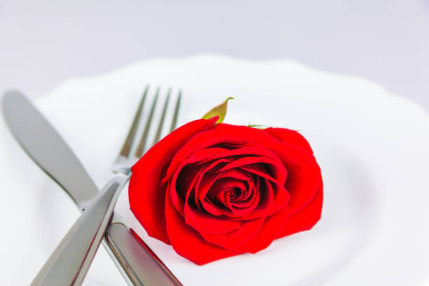 Red Ros On A White Porcelain Plate stock photo