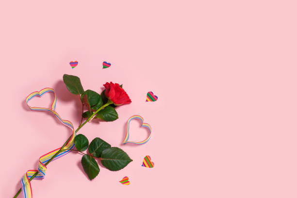 Red rose and hearts LGBT community pride rainbow ribbon awareness on pink background. stock photo
