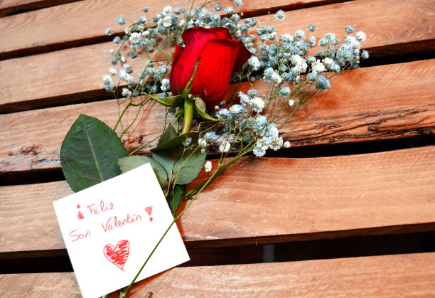 red rose on wooden board with a message of happy, valentines stock photo