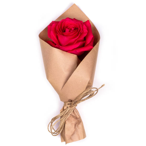rote rose in packpapier eingewickelt. - papier blumen studio stock-fotos und bilder