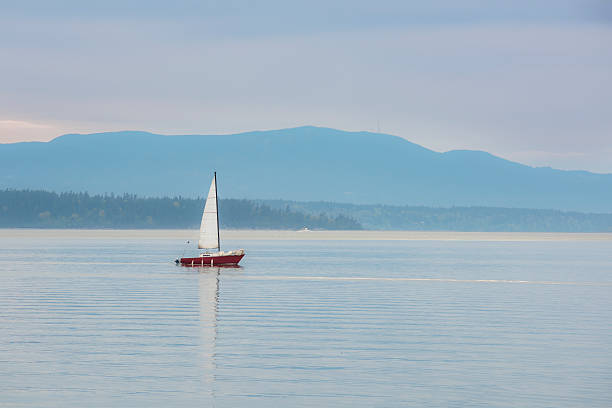 red sailboat sailing in calm blue bay - bellingham stockfoto's en -beelden