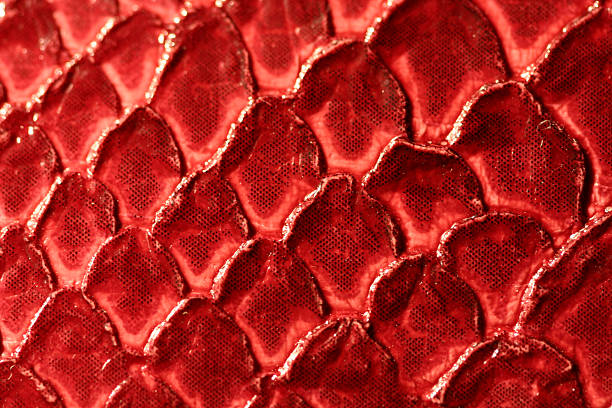 Red Snakeskin Closeup stock photo