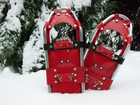 A pair of red snowshoes stuck in the snow with a nice tree background.  Shot is of the bottom of the shoes.