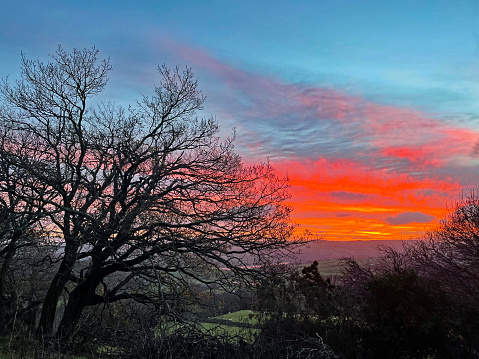 A bright red sunrise with the silhouette of a tree over farmlands in Conwy, North Wales