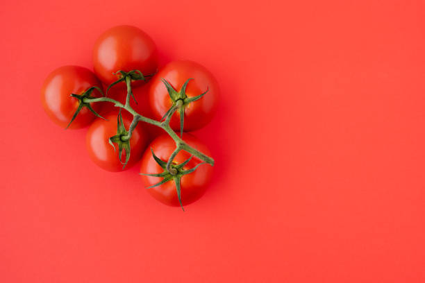 Red Tomatoes Close Up. Fresh Organic Tomatoes on Red Background, Directly from Above with Copy Space. Group of Objects, Healthy Eating, Healthy Lifestyle, Product stock photo