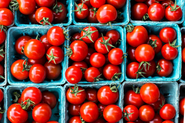 Red tomatoes from farms market in paper containers stock photo