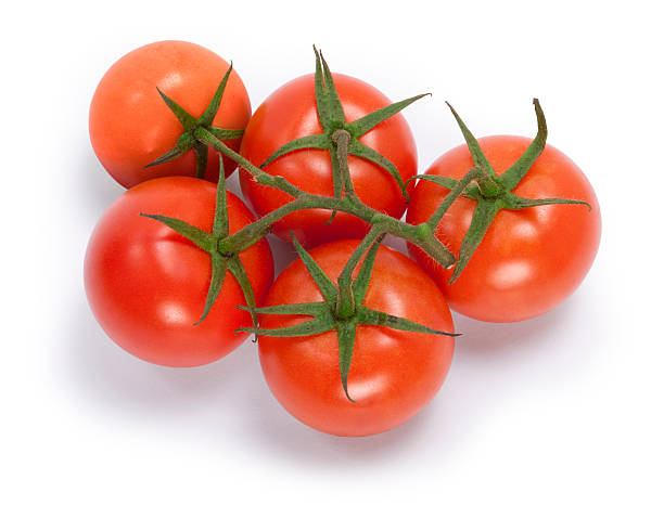 Red Truss Tomatoes stock photo
