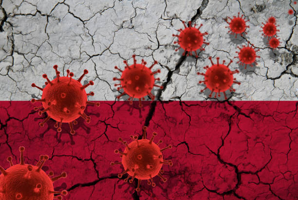 적혈구 세포, 전염병 인플루엔자 바이러스 전염병 감염, 코로나 바이러스, 아시아 독감 개념, 금이 간 폴란드 국기의 배경에 대하여 - 폴란드 뉴스 사진 이미지