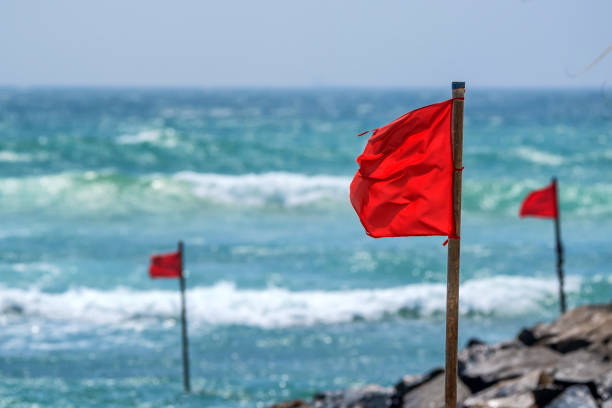 Red warning flag on beach stock photo