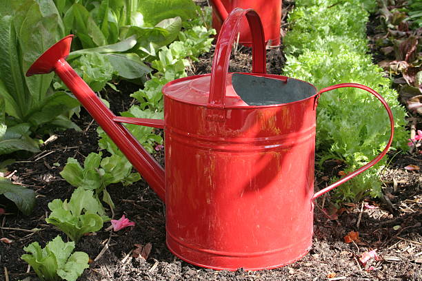 Red watering can stock photo