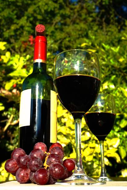 Red wine bottle and glasses and grapes outside closeup stock photo