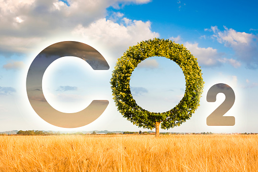 Reduction of the amount of CO2 emissions - concept image with CO2 icon text and tree shape in rural scene.