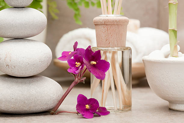 reed diffuser beside african violet flowers natural air freshener beside pebble stones and african violet flowers african violet photos stock pictures, royalty-free photos & images