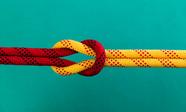 Reef knot on green background Reef knot on green background. symmetry stock pictures, royalty-free photos & images
