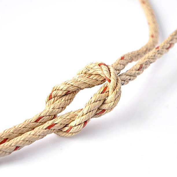 Royalty Free Reef Knot Pictures, Images and Stock Photos - iStock