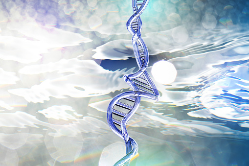 水の表面と DNA モデルの反射光 - ストックフォト・写真素材...