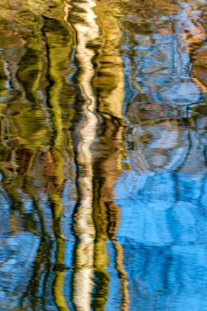 Reflected Trees on Water Surface stock photo
