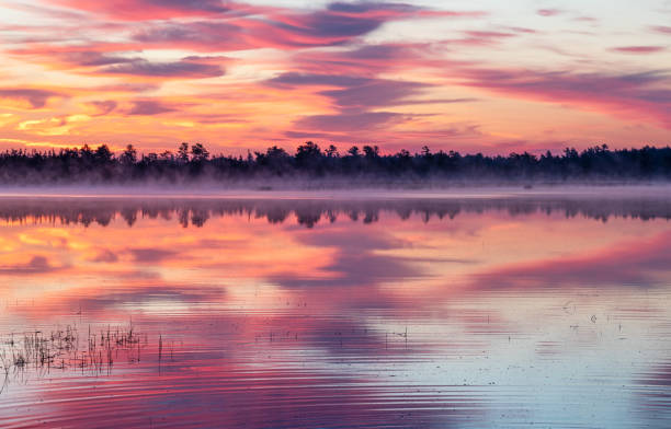 Reflecting Sunrise at Marl Lake Marl Lake, Michigan.  Marl lake is a small lake in Roscommon County Michigan. magenta photos stock pictures, royalty-free photos & images