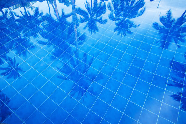 Reflection of palm trees over swimming pool Reflection of palm trees over swimming pool tiled floor photos stock pictures, royalty-free photos & images