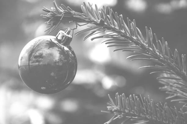 Reflection of park trees in Christmas ball. Blurry backgrounds. Black and white stock photo