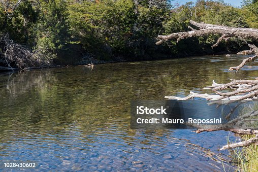 istock Reflection on a mountain river at San Martin de los Andes, Argentina. 1028430602